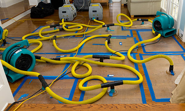 Professional Basement Flood Cleanup technician working in Walbridge, OH